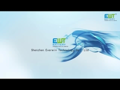 Η μπαταρία λιθίου Primart